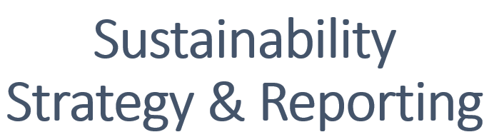 Sustainability Strategy, Management and Risk